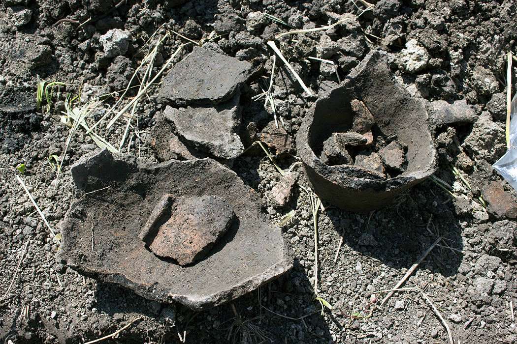 ТРИПІЛЬСЬКИЙ РОЗКОП У ВИННИКАХ - Винники