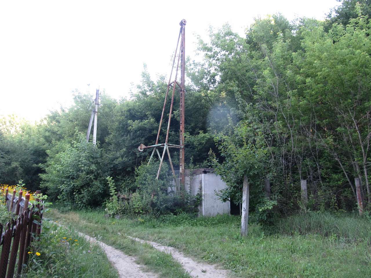 Літо 2016 - Циркуни