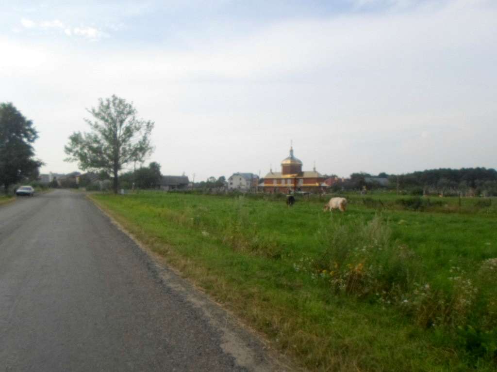 краєвид - Zaplatyn