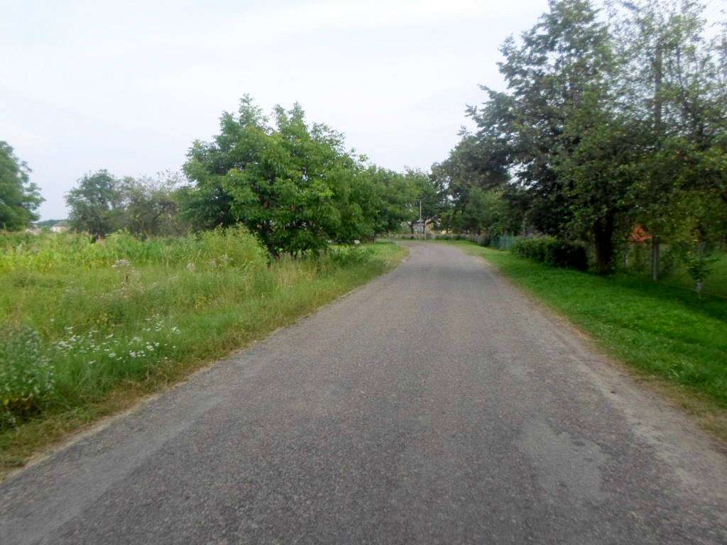 краєвид - Заплатин