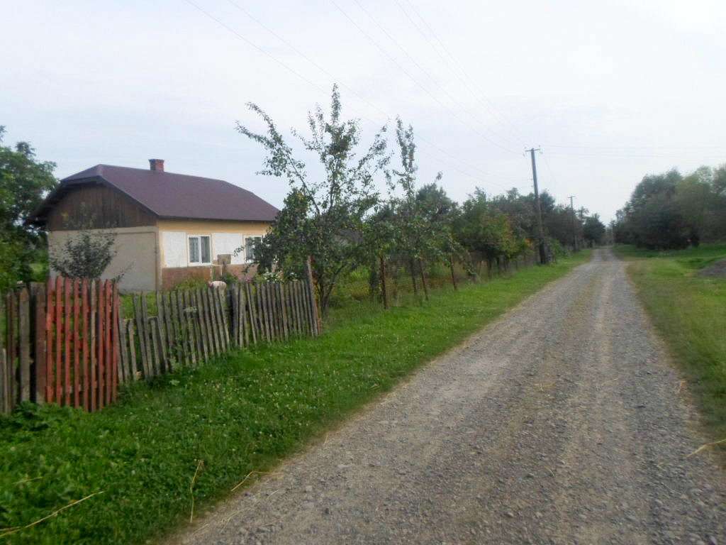 краєвид - Zaplatyn