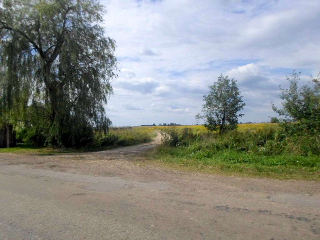 Краєвид - Алексичи
