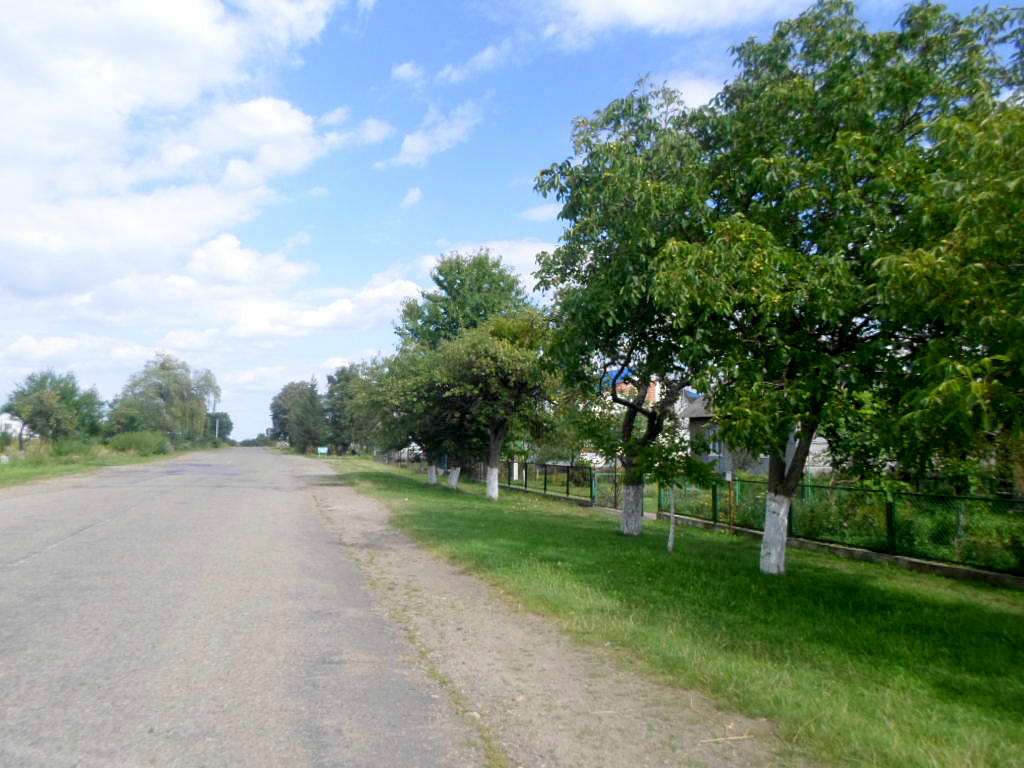 Краєвид - Алексичи