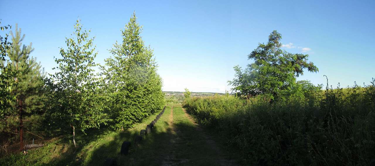 Літо 2016 - Циркуни