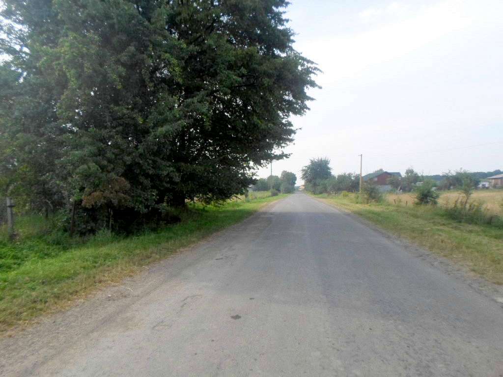 краєвид - Zaplatyn