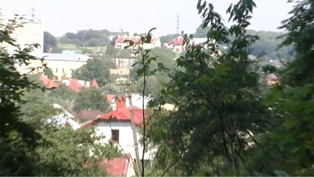 ТРИПІЛЬСЬКИЙ РОЗКОП У ВИННИКАХ - Винники