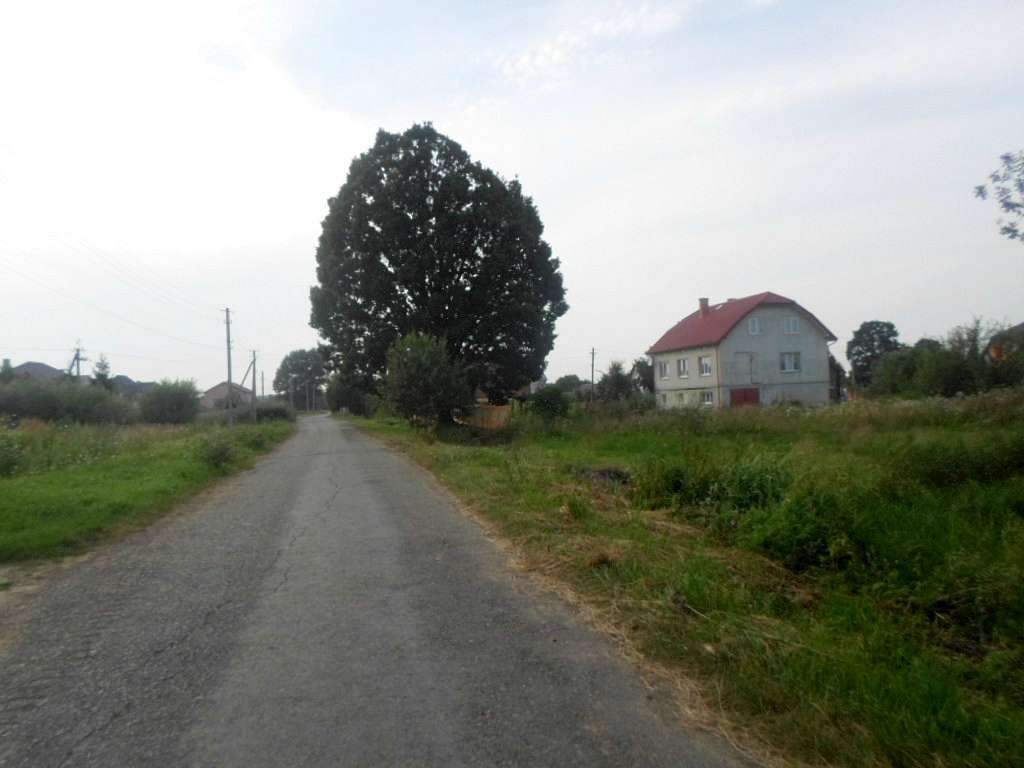 краєвид - Zaplatyn