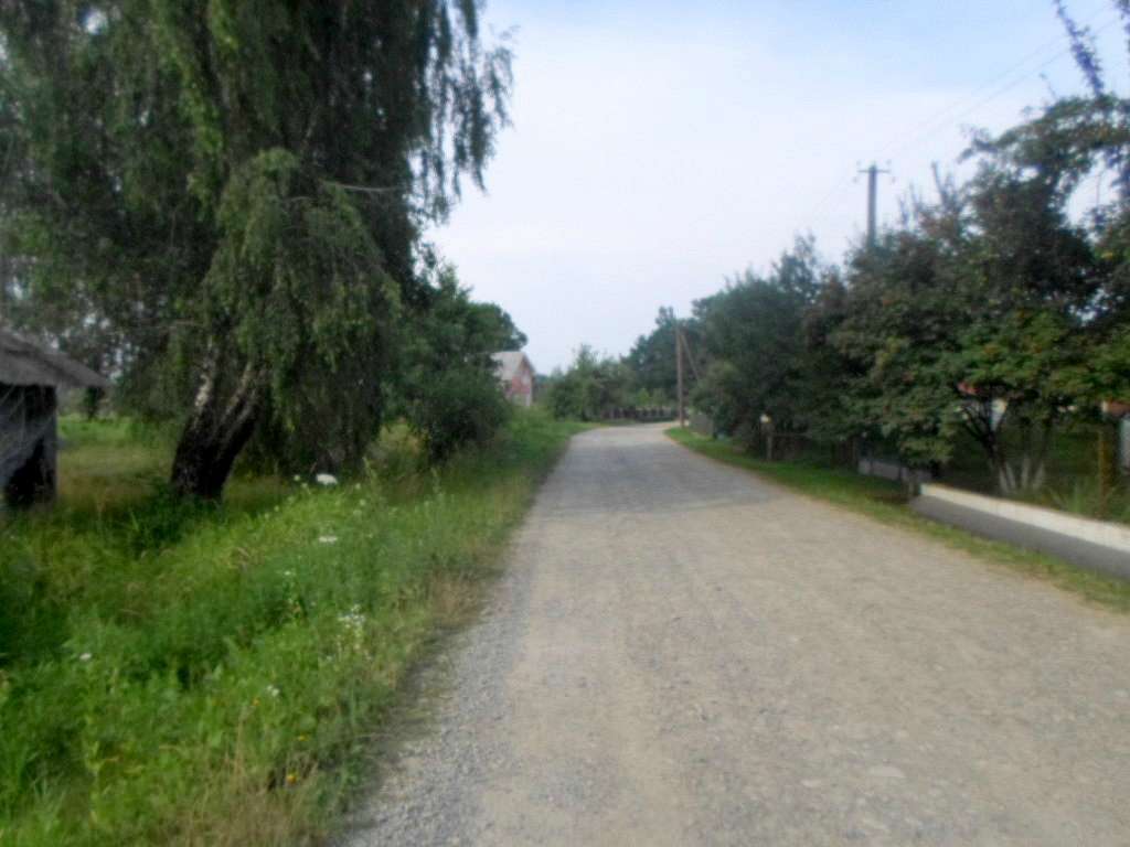 краєвид - Zaplatyn