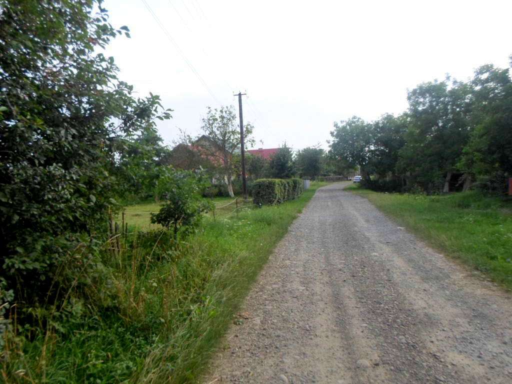 краєвид - Zaplatyn