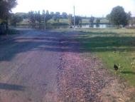 Глибоке з panoramio.com