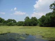 Заудаївське з panoramio.com