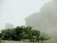 Коктебель з panoramio.com (ч.3)