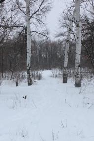 Кіровське з panoramio.com (ч.3)