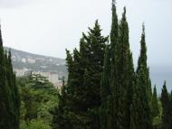 Виноградне з panoramio.com