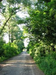 Центральне з panoramio.com