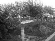 Усатове з panoramio.com