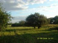 Ленінка з panoramio.com