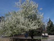 Костянтинівка з panoramio.com