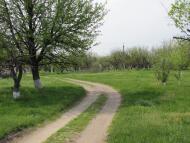 Червоний Лиман - Останні фото