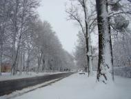 Велика Омеляна з panoramio.com