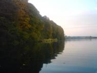 Біла - Останні фото