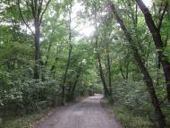 Новомосковськ з panoramio.com (ч.3)