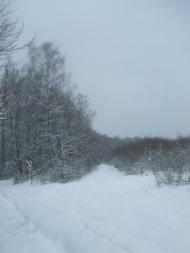 Буянів з panoramio.com