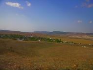 Севастянівка з panoramio.com