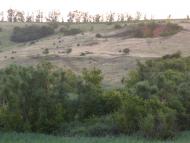 Сподобовка - Последние фото