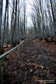 Стужиця з panoramio.com (ч.2)