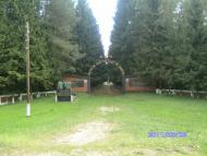 Полошки - Последние фото