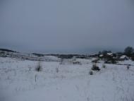 Мачухи з panoramio.com