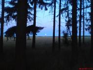 Марчихина Буда - Останні фото