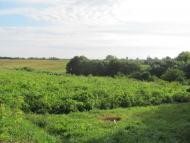 Новичі - Останні фото