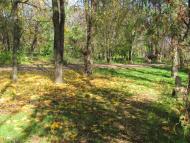 Менжинське з panoramio.com