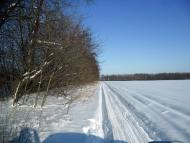 Ванчиківці з panoramio.com