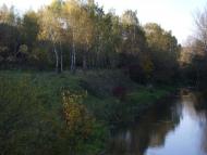 Петриків з panoramio.com (ч.2)