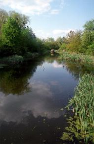 Буки з panoramio.com