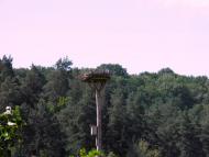 Коропове - Останні фото