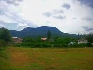 Богатир з panoramio.com