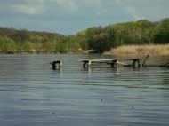 Карлівка з panoramio.com