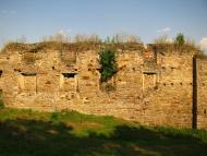 Микулинці з panoramio.com