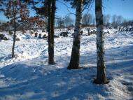 Солотвин з panoramio.com