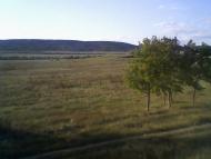 Мостовое - Последние фото