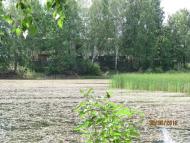 Добрянка - Останні фото