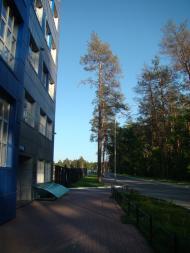 Гнідин з panoramio.com (ч.3)