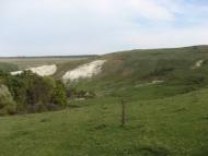 Іванівці - Останні фото