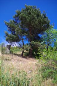 Алушта з panoramio.com (ч.3)