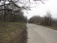 Сухини з panoramio.com