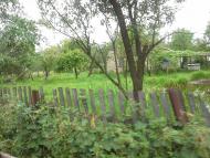 Сошники - Останні фото